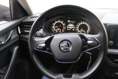 Skoda Kamiq 1.0 TSI 110 CV DSG Ambition (7)