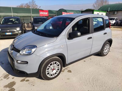 Fiat Panda 1.0 FireFly S&S Hybrid usata