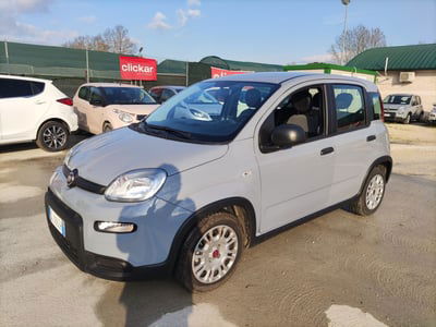 Fiat Panda 1.0 FireFly S&S Hybrid usata