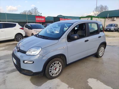 Fiat Panda 1.0 FireFly S&S Hybrid usata