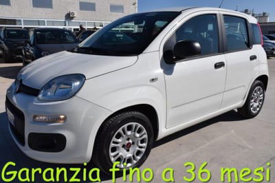 Fiat Panda 1.2 Easy usata