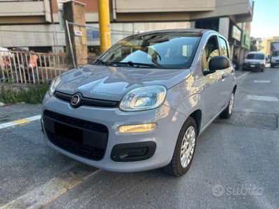 Fiat Panda 1.0 FireFly S&S Hybrid usata