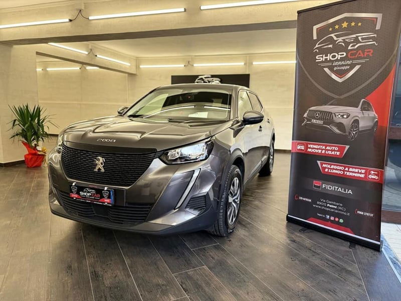 Peugeot 2008 BlueHDi 100 S&S Active