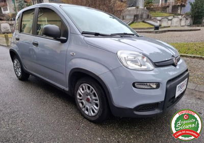 Fiat Panda 1.0 firefly hybrid s&s 70cv 5p.ti usata