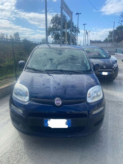 Fiat Panda 1.2 Easy  usata
