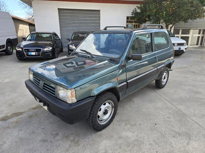 Fiat Panda 1100 i.e. cat 4x4 Trekking usata