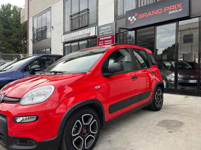 Fiat Panda 1.0 FireFly S&S Hybrid City Cross usata