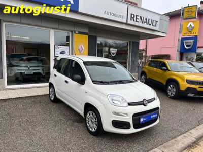 Fiat Panda 1.2 Easy  usata