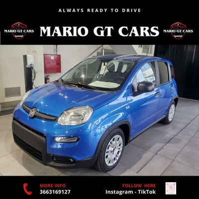 Fiat Panda 1.0 FireFly S&S Hybrid  usata