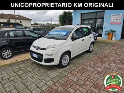 Fiat Panda 1.2 Easy usata