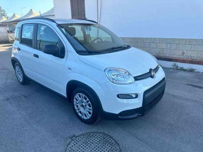 Fiat Panda 1.0 firefly hybrid s&s 70cv usata