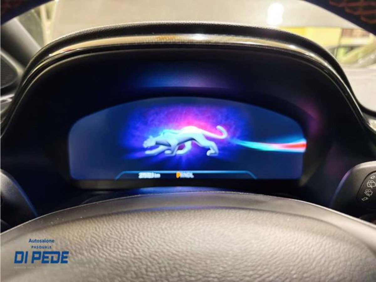 Ford Puma 1.0 EcoBoost Hybrid 125 CV S&S aut. ST-Line Design (16)