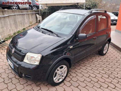 Fiat Panda 1.2 Active Natural Power usata