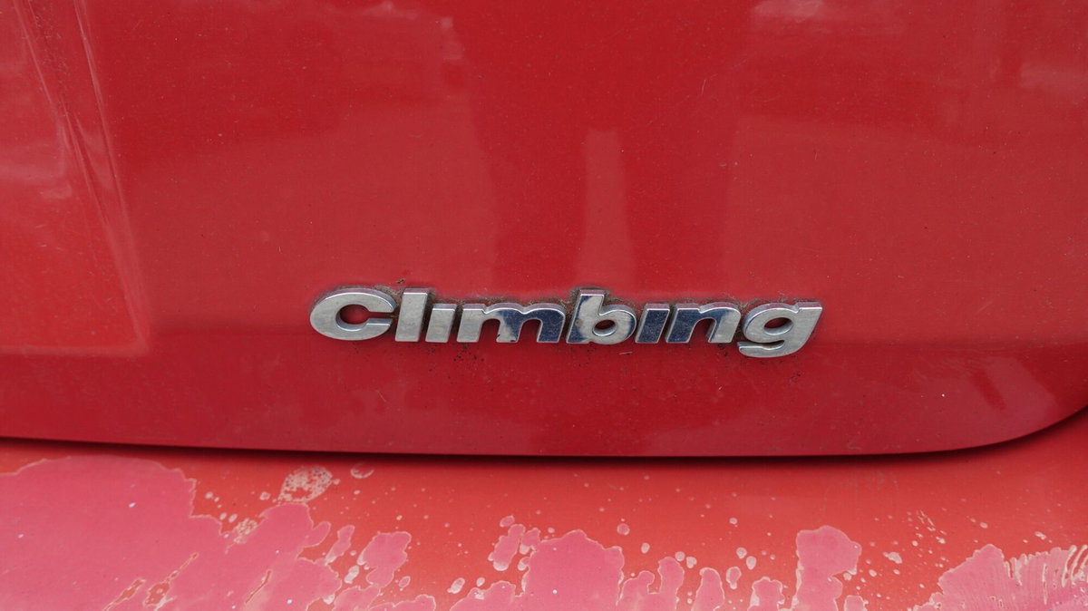 Fiat Panda 1.2 4x4 Climbing (18)