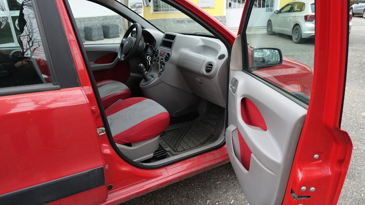 Fiat Panda 1.2 4x4 Climbing (20)