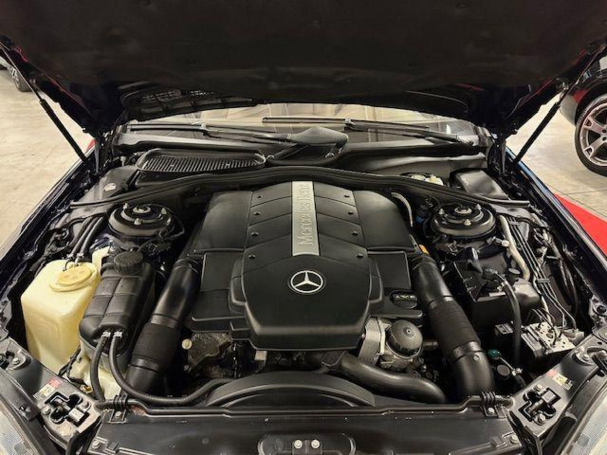 Mercedes-Benz Classe S 500 cat (19)