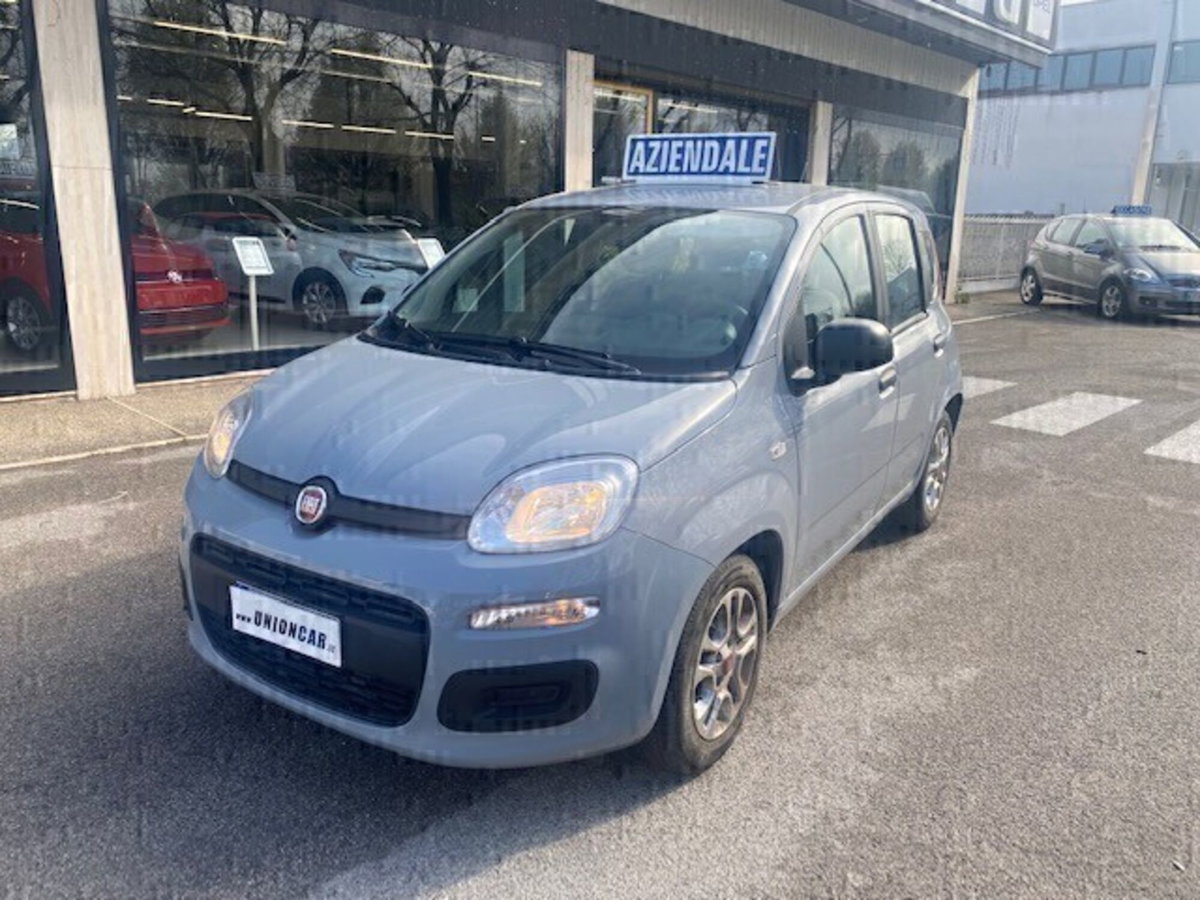 Fiat Panda 1.0 FireFly S&S Hybrid (2)