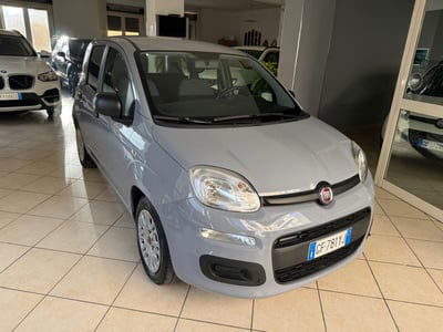Fiat Panda Cross Cross 1.0 FireFly S&S Hybrid usata