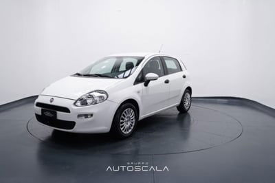 Fiat Punto 1.3 MJT 75CV 5 porte Van Pop 4 posti usata