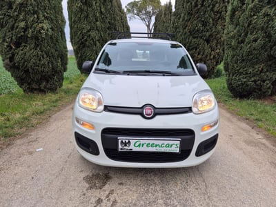 Fiat Panda 1.2 EasyPower Lounge  usata