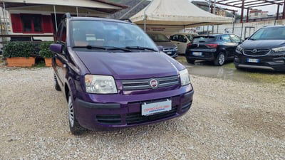 Fiat Panda 1.2 Dynamic Eco usata
