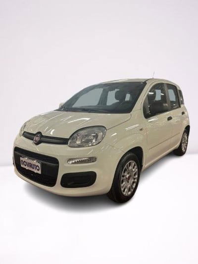 Fiat Panda 1.2 EasyPower Easy usata