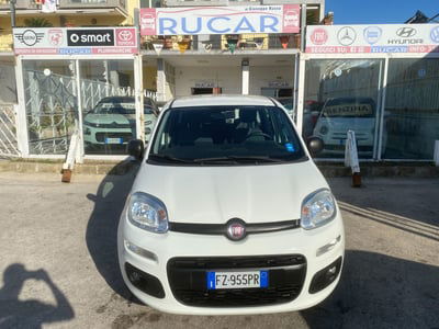 Fiat Panda 1.2 Lounge  usata