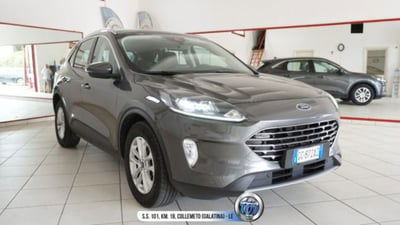 Ford Kuga 1.5 EcoBlue 120 CV 2WD Titanium  usata