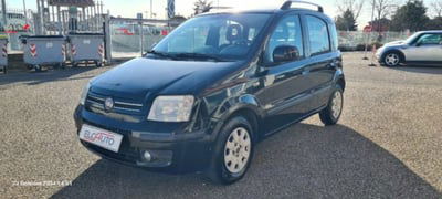 Fiat Panda 1.2 Dynamic usata