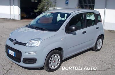Fiat Panda 1.2 EasyPower Easy usata
