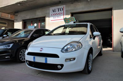 Fiat Punto 1.2 8V 5 porte Lounge usata