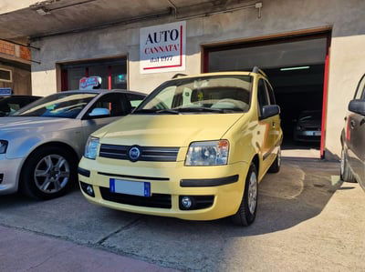 Fiat Panda 1.2 Dynamic  usata