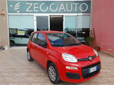 Fiat Panda 1.2 Easy usata