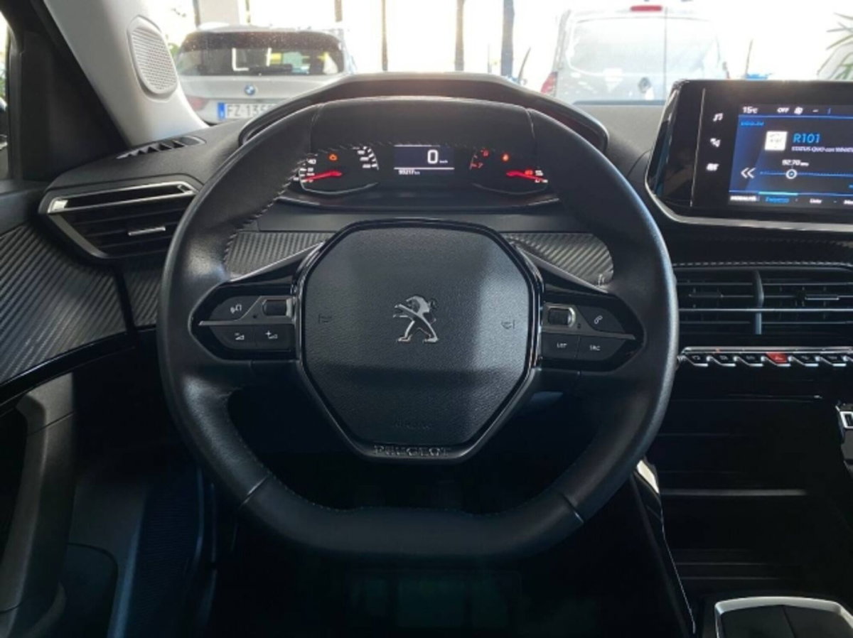 Peugeot 2008 100 Active (14)