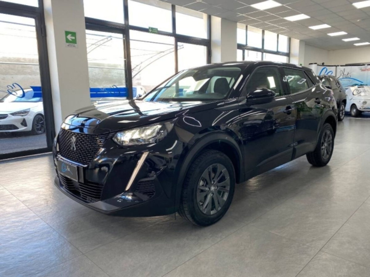 Peugeot 2008 100 Active (3)
