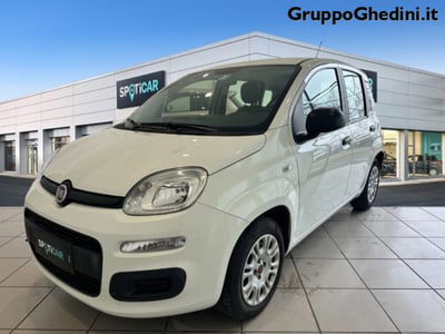 Fiat Panda 1.2 Easy  usata