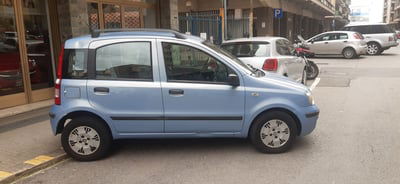 Fiat Panda 1.2 Dynamic usata