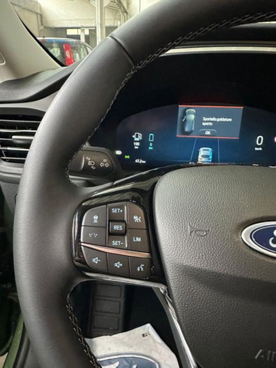 Ford Kuga 2.5 Plug In Hybrid 225 CV CVT 2WD (14)