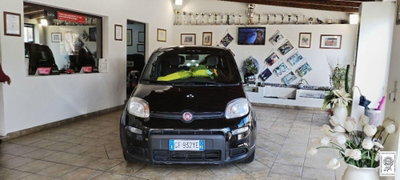 Fiat Panda 1.0 firefly hybrid s&s 70cv 5p.ti (3)