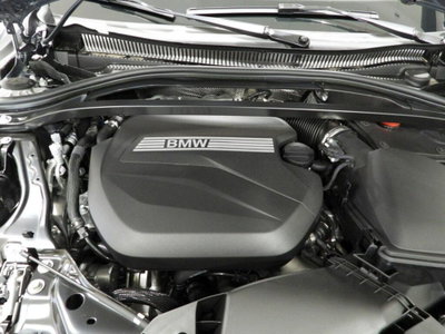 BMW Serie 1 116 auto (14)