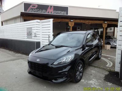 Ford Kuga 1.5 EcoBlue 120 CV 2WD ST-Line usata
