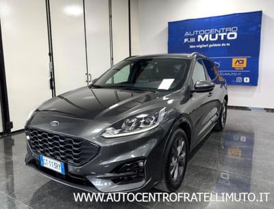 Ford Kuga 2.0 EcoBlue 120 CV aut. 2WD ST-Line X usata