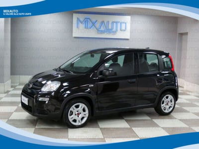 Fiat Panda 1.0 firefly hybrid s&s 70cv usata