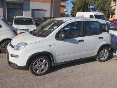 Fiat Panda 1.0 firefly hybrid s&s 70cv 5p.ti usata