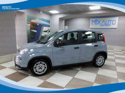 Fiat Panda 1.0 firefly hybrid s&s 70cv 5p.ti usata
