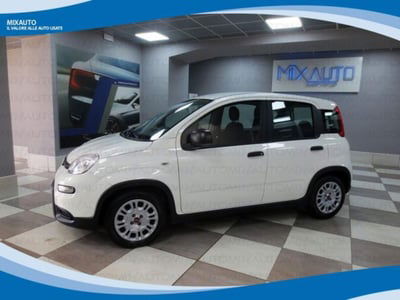 Fiat Panda 1.0 firefly hybrid s&s 70cv 5p.ti usata