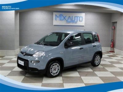 Fiat Panda 1.0 firefly hybrid s&s 70cv 5p.ti usata