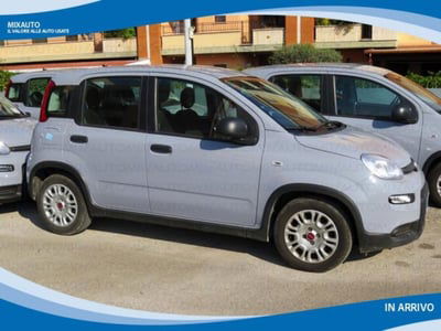 Fiat Panda 1.0 firefly hybrid s&s 70cv 5p.ti usata