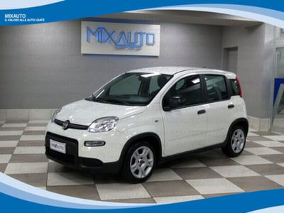 Fiat Panda 1.0 firefly hybrid s&s 70cv 5p.ti usata