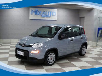Fiat Panda 1.0 firefly hybrid s&s 70cv 5p.ti usata